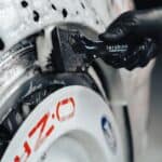 Däckborste tershine - Bild 2