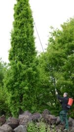 TELESKOPLANS 1,5 - 7M - Bild 12