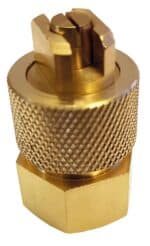 FLATSTRÅLEDYSA - Bild 6