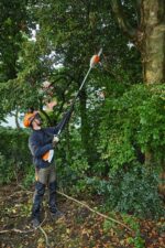 HTA 66 stamkvistare batteri - Bild 4